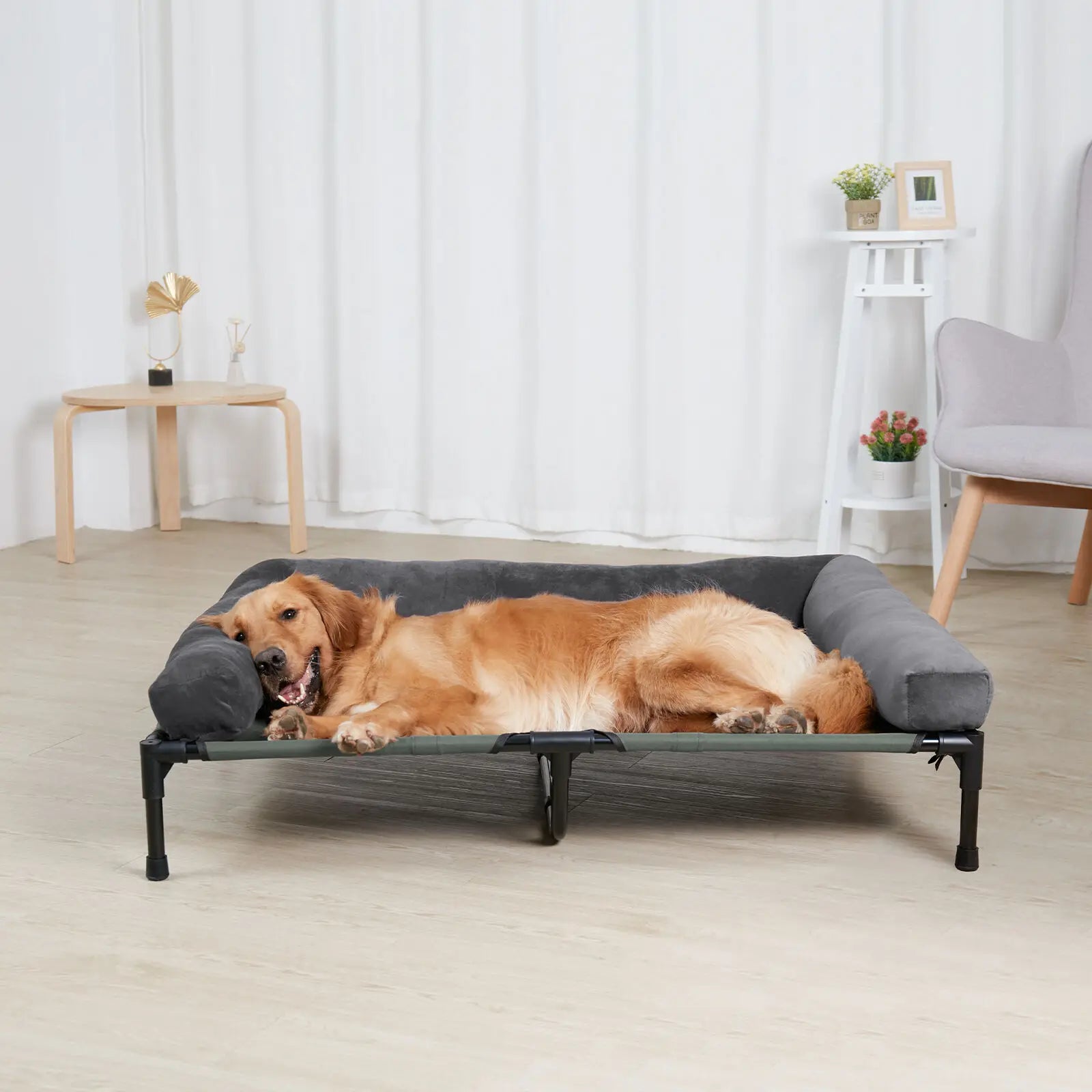 FurriendlyPaws | Furry Friends, Happy Hearts