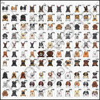 Personalized Pet Mat – Custom Feeding Mat for Dogs & Cats