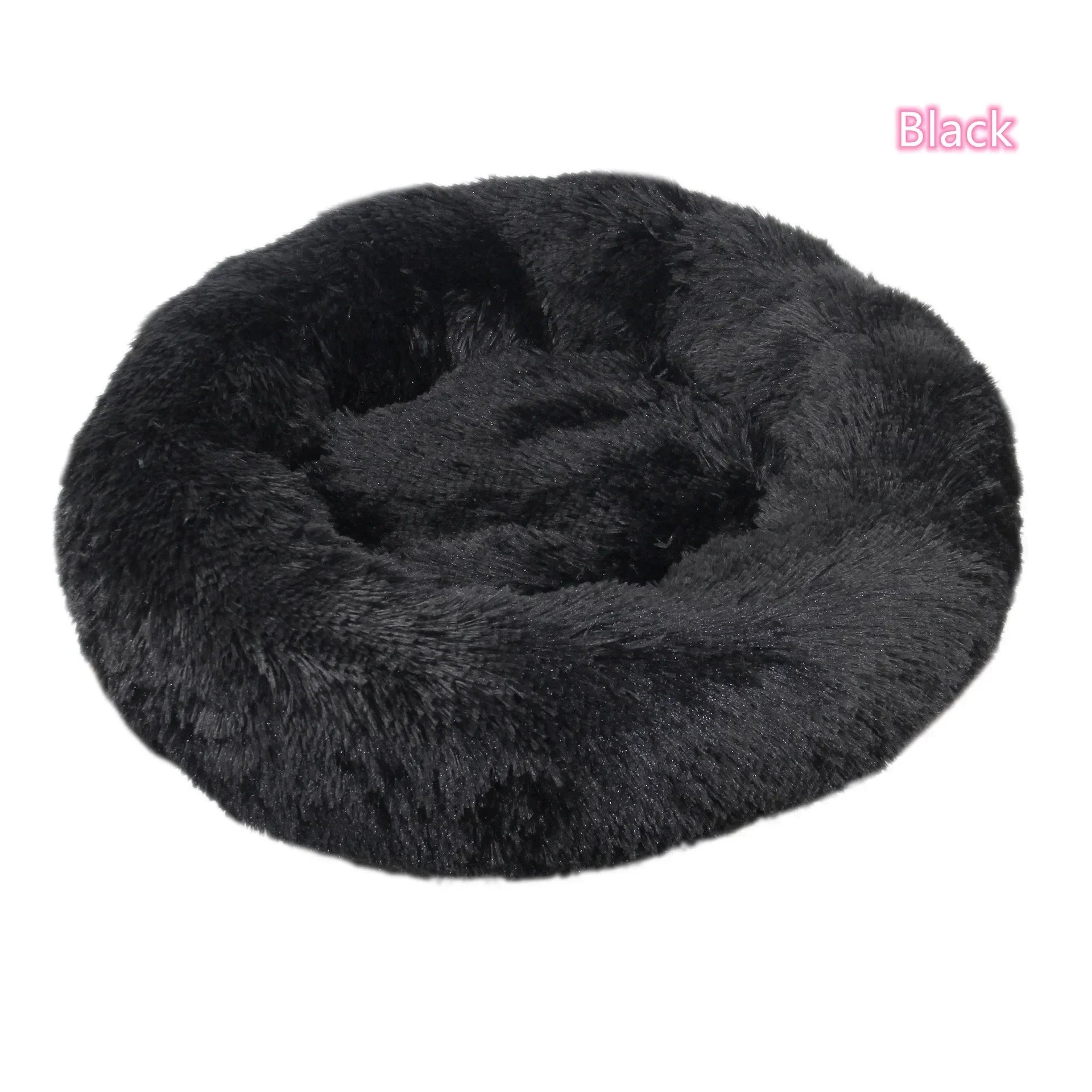 FurriendlyPaws | Furry Friends, Happy Hearts