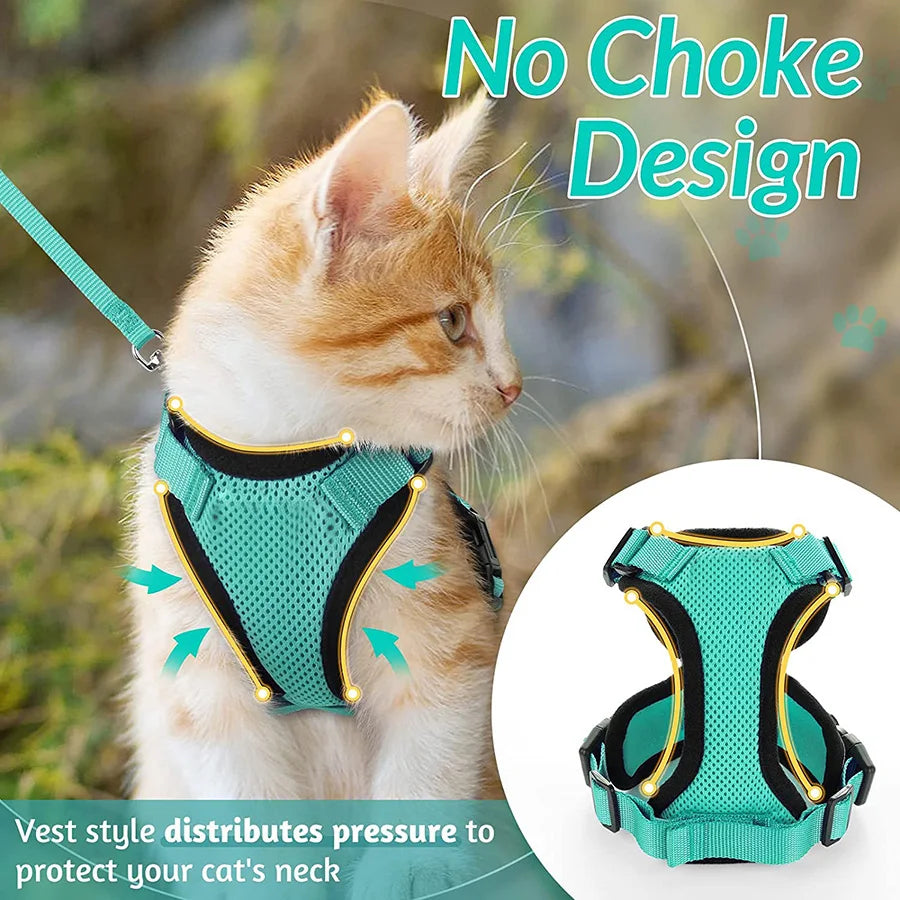 FurriendlyPaws | Furry Friends, Happy Hearts