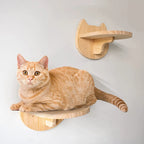 Cat Wall Climbing Steps – 4 Step Shelf with Scratching Posts