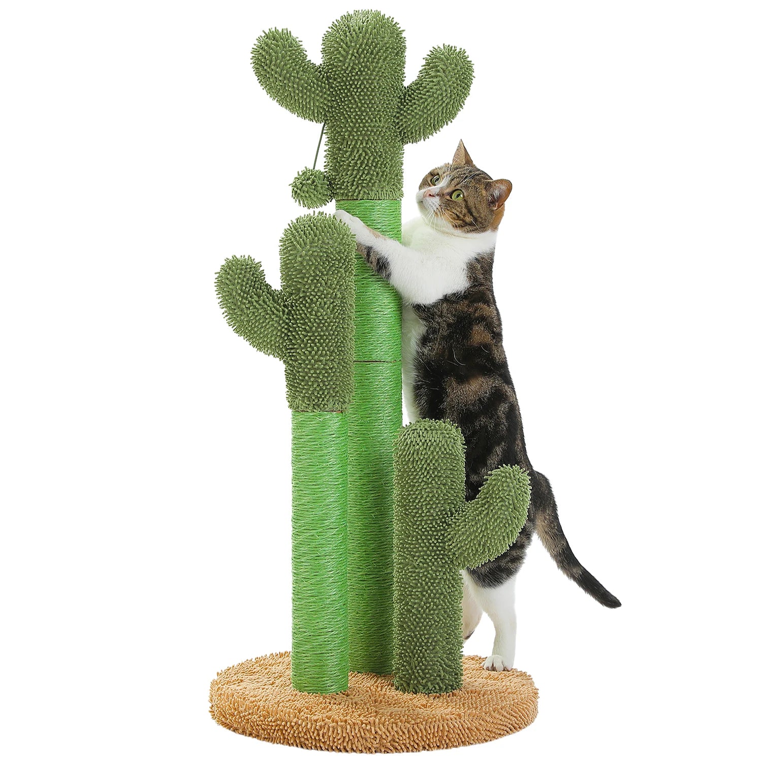 FurriendlyPaws | Furry Friends, Happy Hearts