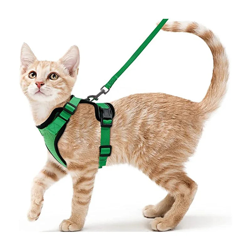 FurriendlyPaws | Furry Friends, Happy Hearts