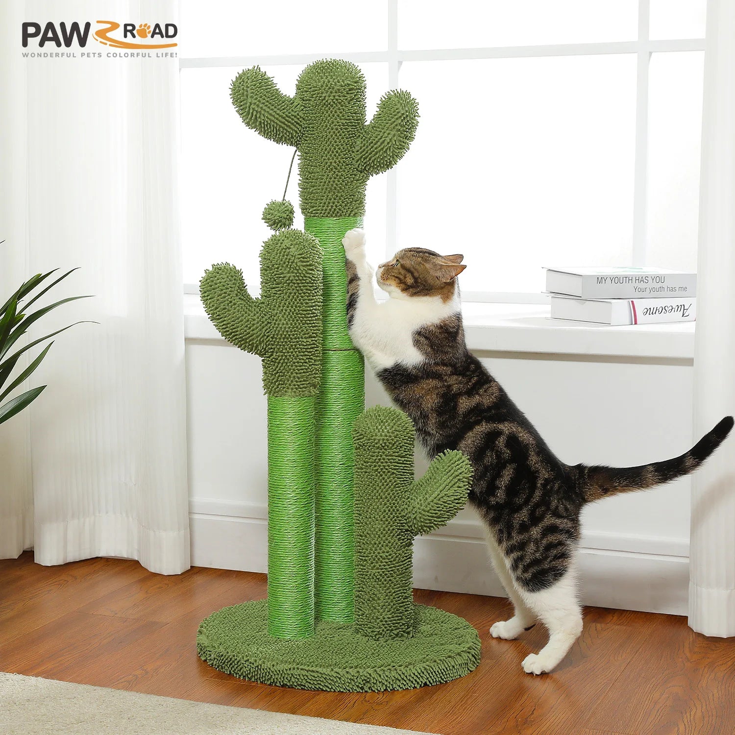 FurriendlyPaws | Furry Friends, Happy Hearts