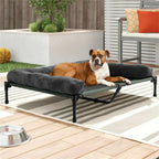 Chill in Style – Raised Dog Bed with Cozy Bolster