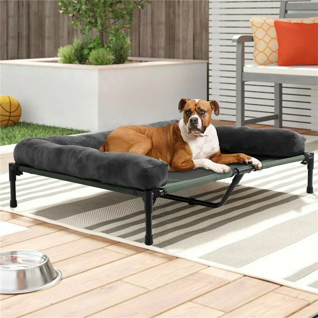 Chill in Style – Raised Dog Bed with Cozy Bolster