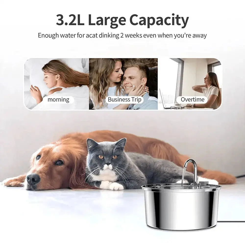 Silent Stainless Steel Pet Water Fountain with Filter.5. - FurriendlyPaws | Furry Friends, Happy Hearts