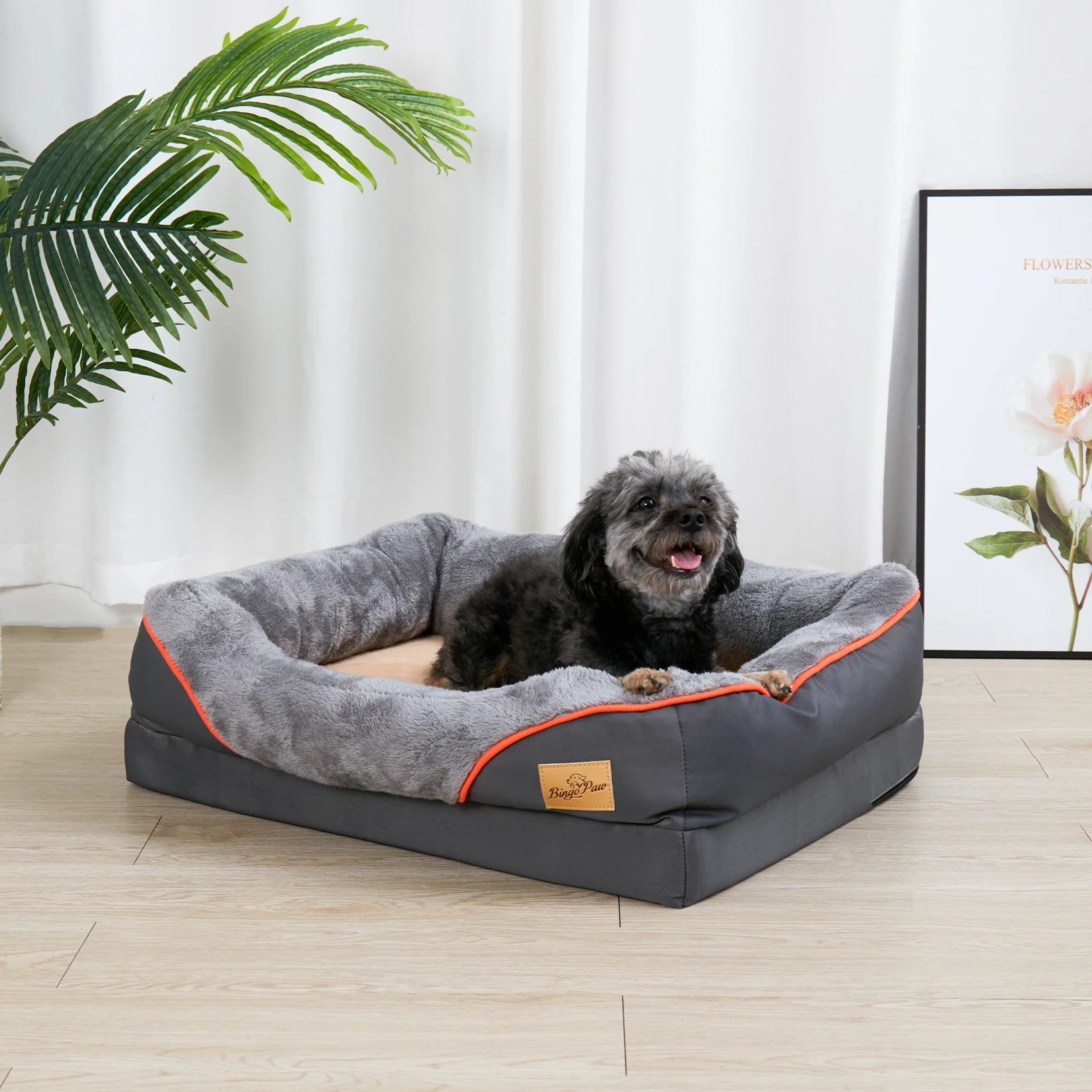 FurriendlyPaws | Furry Friends, Happy Hearts