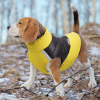 Keep Your Pup Cozy & Stylish – Winter Walks Made Easy