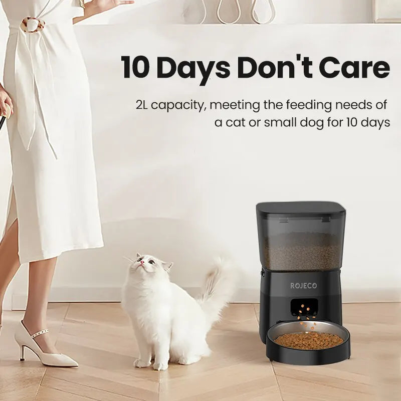 FurriendlyPaws | Furry Friends, Happy Hearts