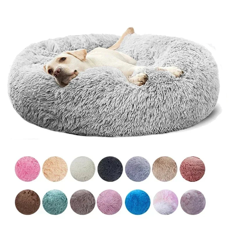 FurriendlyPaws | Furry Friends, Happy Hearts