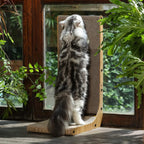 L-Shape Cat Scratcher – 23.6" Cardboard Pad for Indoor Cats & Furniture - FurriendlyPaws | Furry Friends, Happy Hearts