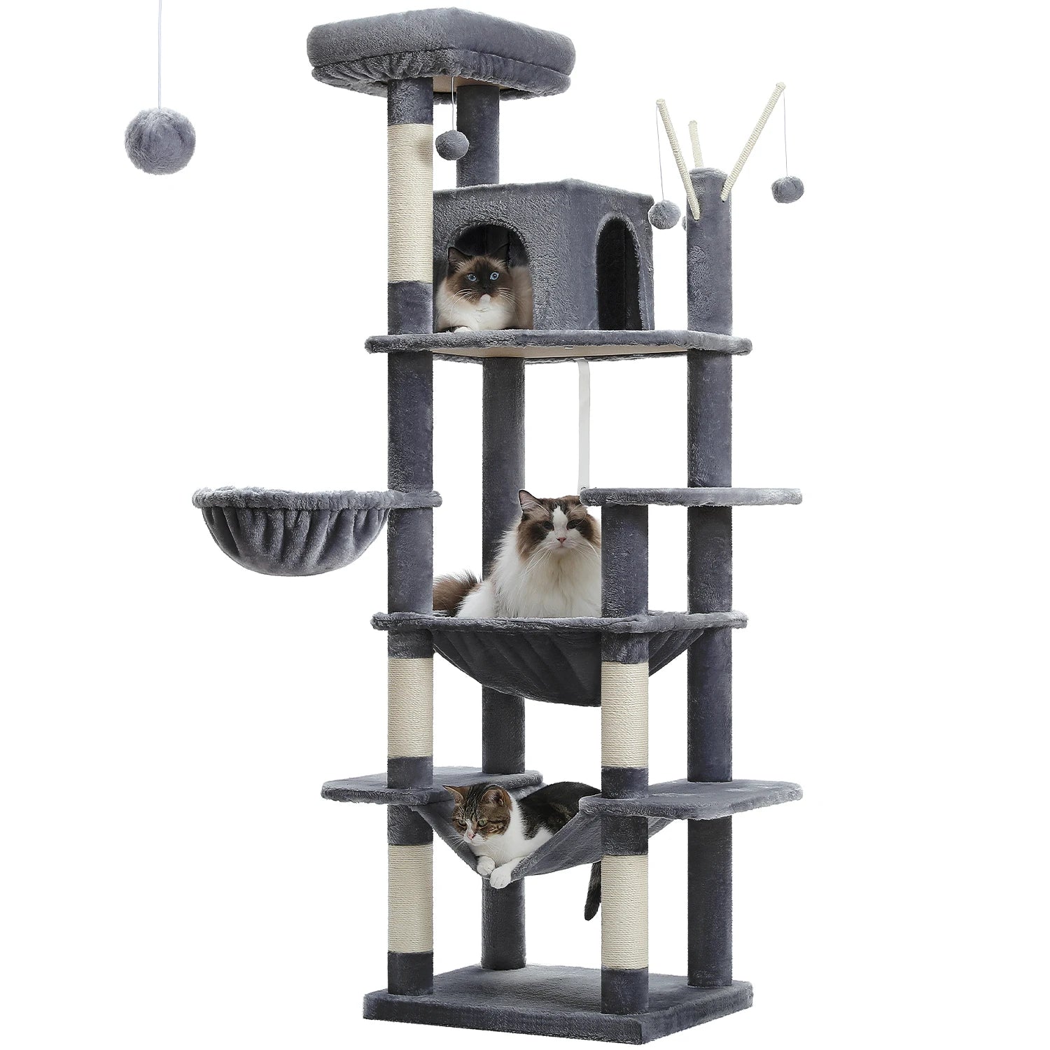 FurriendlyPaws | Furry Friends, Happy Hearts