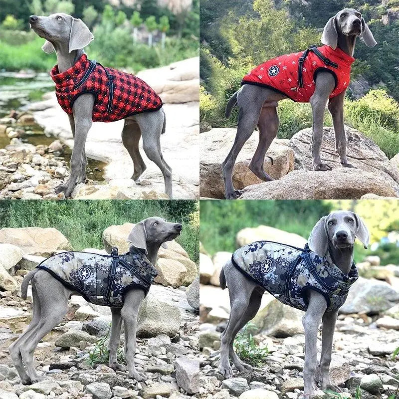 Winter Dog Coat with Harness.1. – Waterproof & Warm for All Sizes - FurriendlyPaws | Furry Friends, Happy Hearts