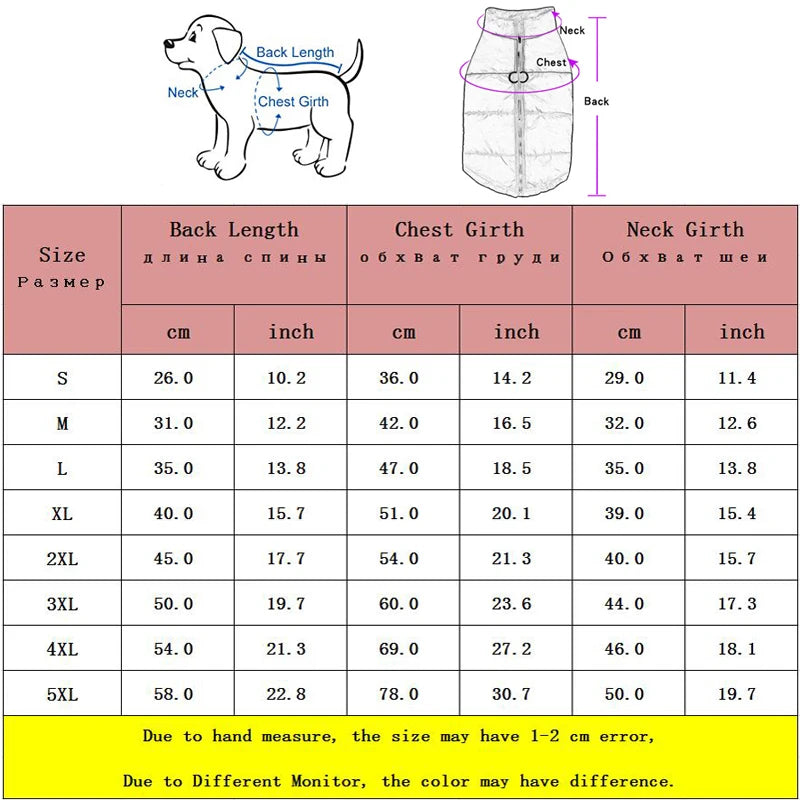 Keep Your Pup Cozy & Stylish – Winter Walks Made Easy