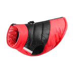 Keep Your Pup Cozy & Stylish – Winter Walks Made Easy