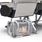 PawPort™ Travel Carrier – Breathable Mesh Pet Bag for Cats & Small Dogs