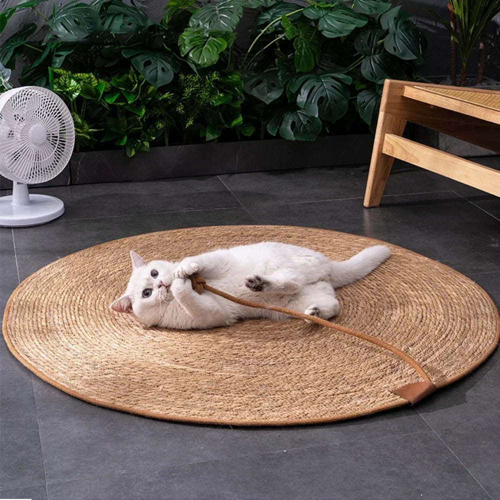 PurrTect™ Rattan Cat Scratcher – Durable Modern Scratch Post for Cats - FurriendlyPaws | Furry Friends, Happy Hearts