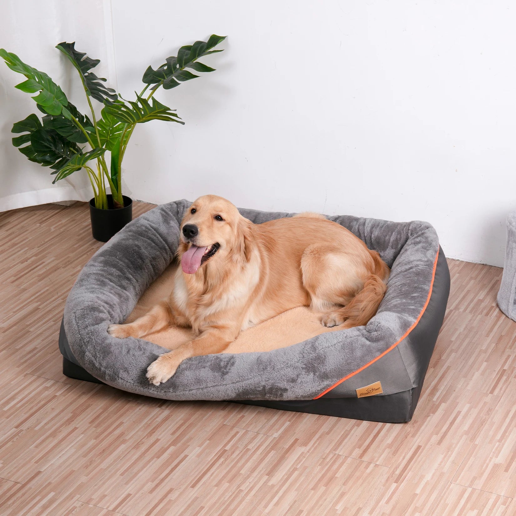 FurriendlyPaws | Furry Friends, Happy Hearts