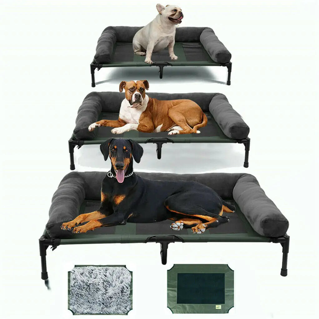 Chill in Style – Raised Dog Bed with Cozy Bolster