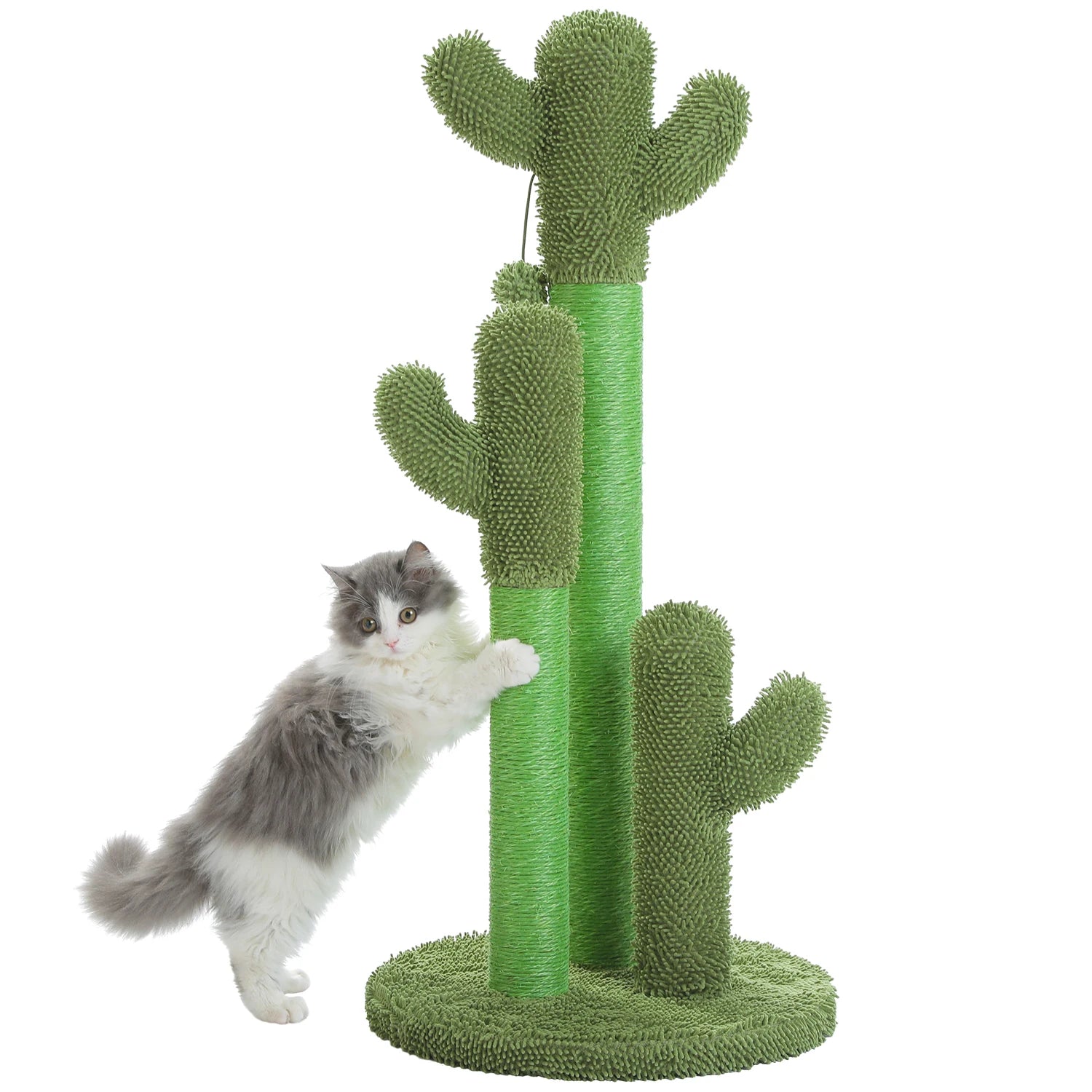 FurriendlyPaws | Furry Friends, Happy Hearts