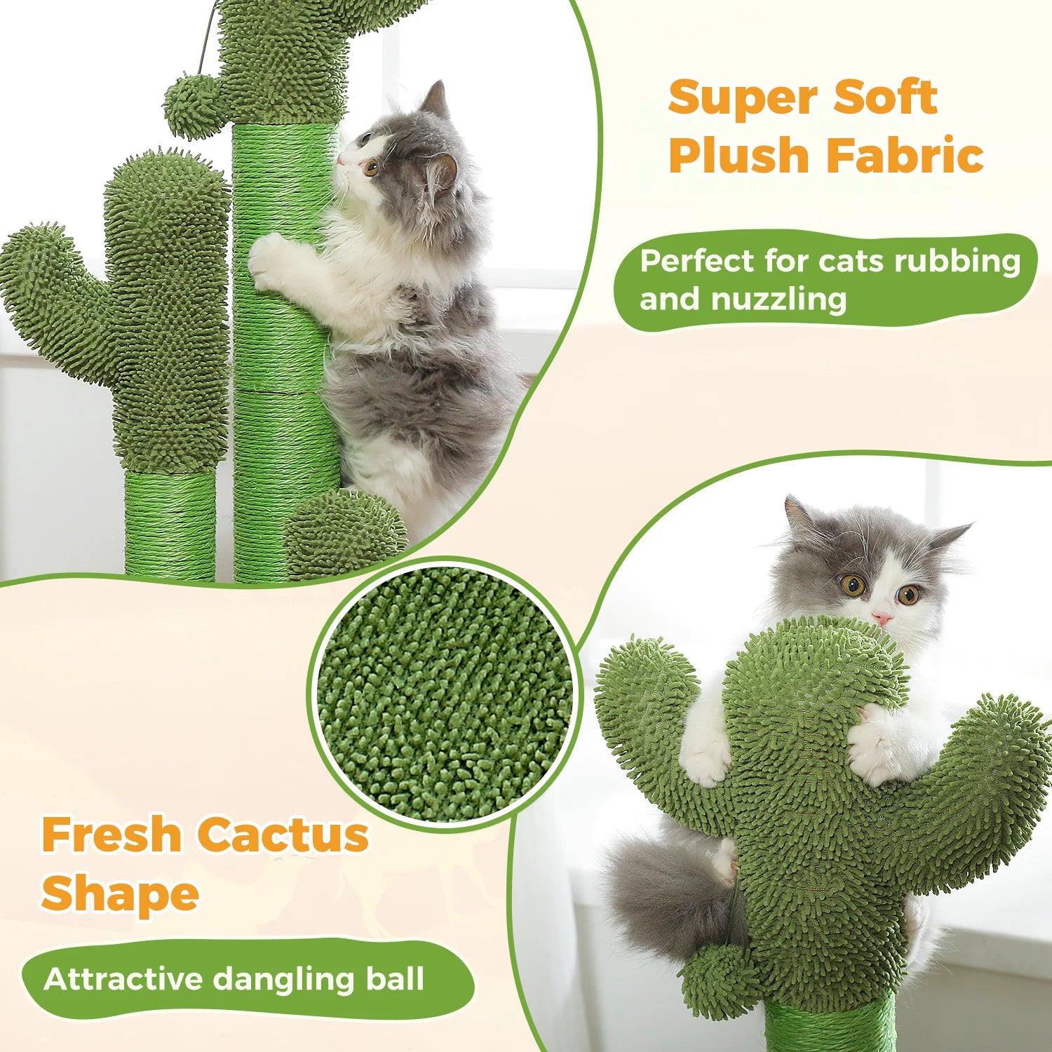 FurriendlyPaws | Furry Friends, Happy Hearts