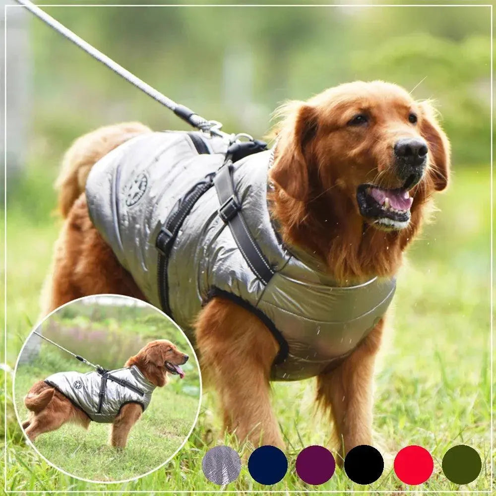 Winter Dog Coat with Harness.2. – Waterproof & Warm for All Sizes - FurriendlyPaws | Furry Friends, Happy Hearts