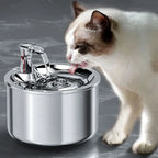2L Stainless Steel Pet Water Fountain – Automatic Dispenser with Optional Sensor & Heater - FurriendlyPaws | Furry Friends, Happy Hearts