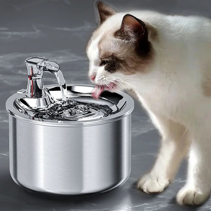 2L Stainless Steel Pet Water Fountain – Automatic Dispenser with Optional Sensor & Heater - FurriendlyPaws | Furry Friends, Happy Hearts