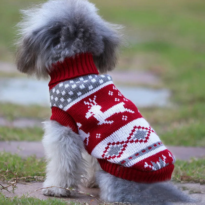 FurriendlyPaws | Furry Friends, Happy Hearts