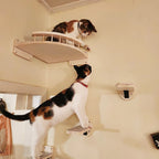 Cat Wall Climbing Steps – 4 Step Shelf with Scratching Posts