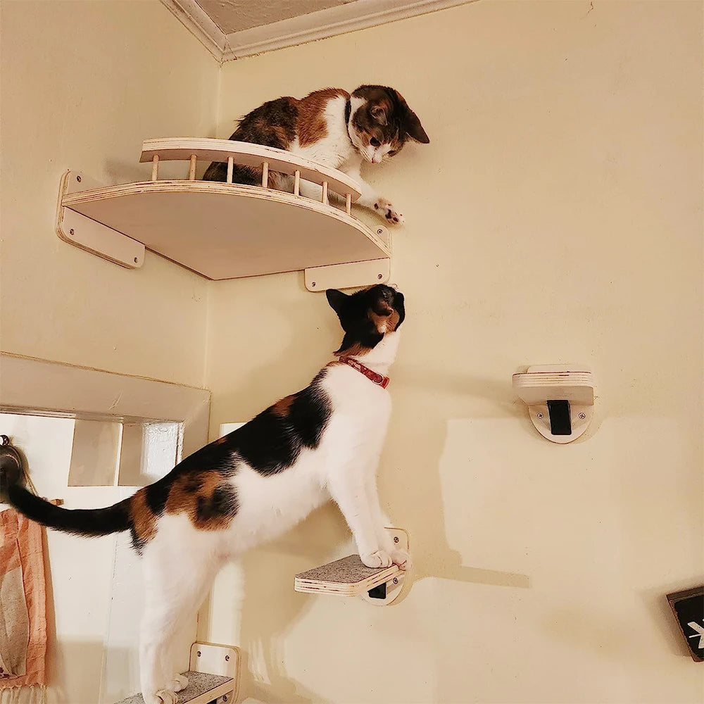 FurriendlyPaws | Furry Friends, Happy Hearts