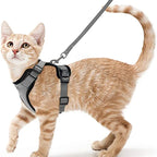 Explore Safely – Escape-Proof Cat Harness & Leash for Outdoor Adventures!