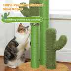 Scratch, Climb & Play – Large Cactus Cat Scratching Post