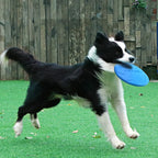 Durable Flying Disc Dog Toy – Soft, Lightweight & Safe for Fetch