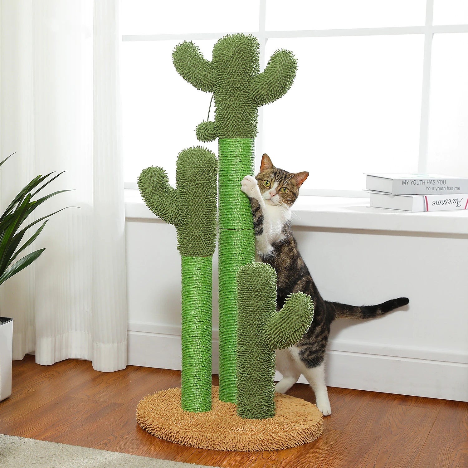 FurriendlyPaws | Furry Friends, Happy Hearts