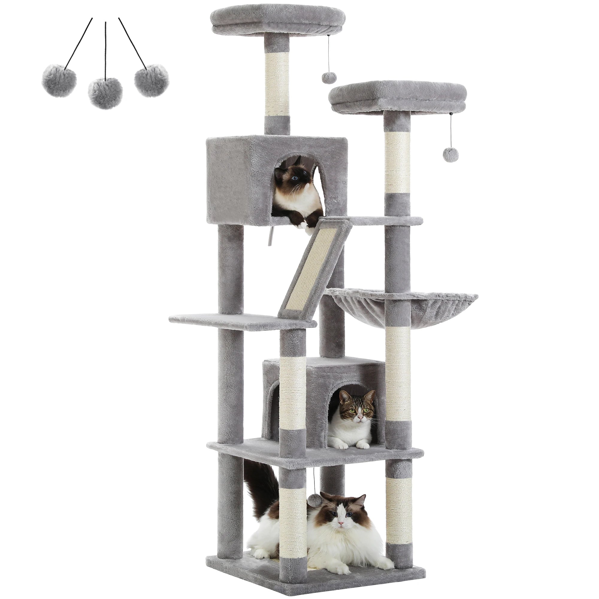FurriendlyPaws | Furry Friends, Happy Hearts