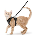 Explore Safely – Escape-Proof Cat Harness & Leash for Outdoor Adventures!