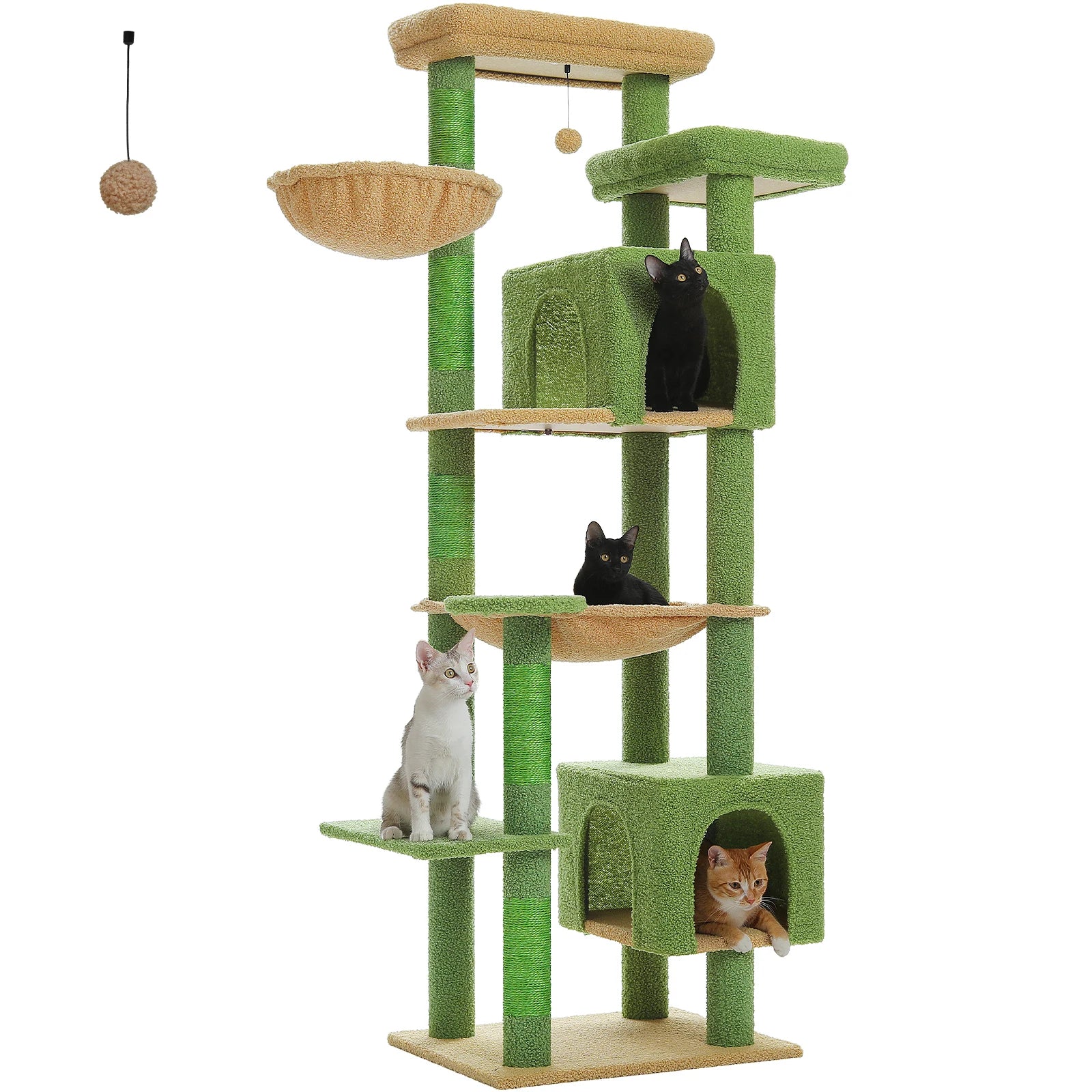 FurriendlyPaws | Furry Friends, Happy Hearts