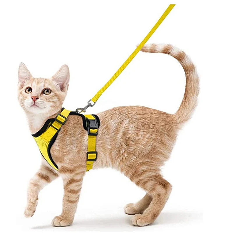 FurriendlyPaws | Furry Friends, Happy Hearts