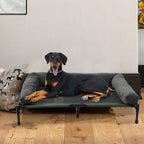 Chill in Style – Raised Dog Bed with Cozy Bolster