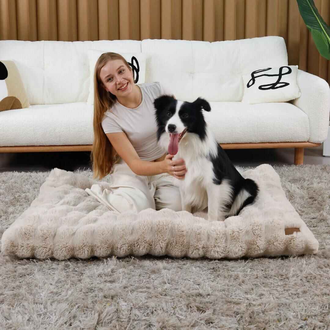 FurriendlyPaws | Furry Friends, Happy Hearts