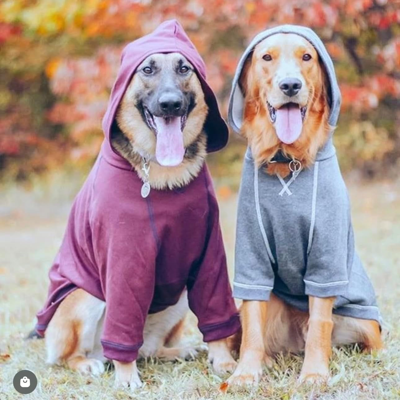 Dog Hoodie – Soft Cotton-Blend Sweater for Dogs