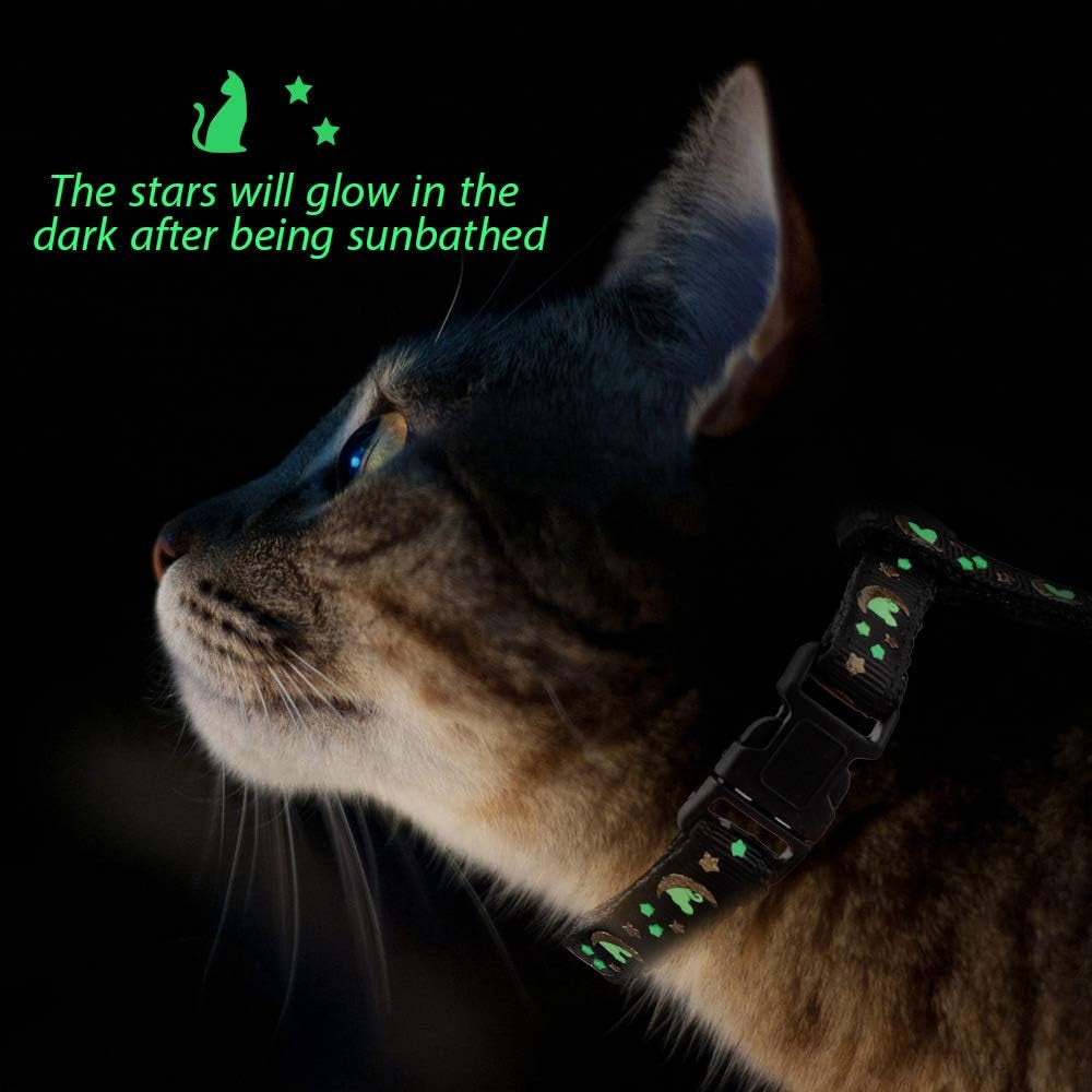 Cat Harness & Leash Set – Escape Proof Adjustable Nylon - FurriendlyPaws | Furry Friends, Happy Hearts