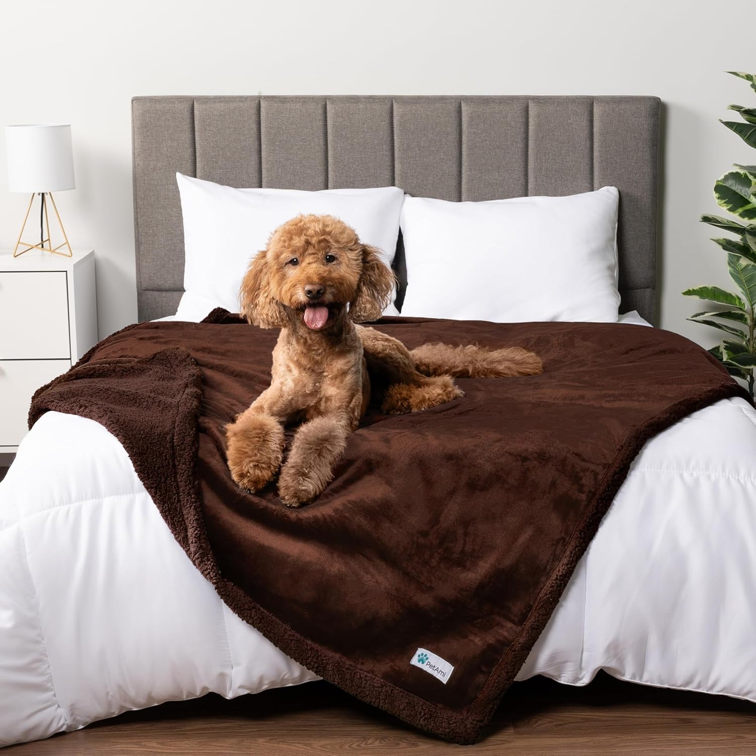 Waterproof Dog Blanket – Leakproof Pet Couch Cover, Multiple Sizes & Patterns - FurriendlyPaws | Furry Friends, Happy Hearts