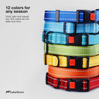 Stack of colorful dog collars with text about color options on a light gray background