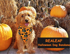 2-Pack Dog Bandanas – Reversible Triangle Pet Scarves for All Seasons, Adjustable Fit - FurriendlyPaws | Furry Friends, Happy Hearts