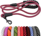 Red and blue braided dog leash with black clip on a white background, with additional color options displayed below.
