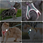 Escape Proof Cat Harness & Leash Set – Reflective, Adjustable, Secure - FurriendlyPaws | Furry Friends, Happy Hearts