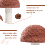 2 Mushrooms Cat Scratching Post – 19" Sisal Rope Cat Scratcher with Grass Base & Dangling Ball, Cute Mushroom Design for Kittens & Small Cats